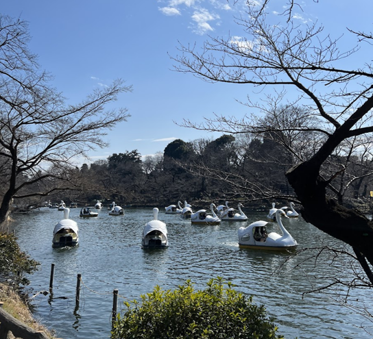 表参道から吉祥寺へ。次の25年とその先を目指して